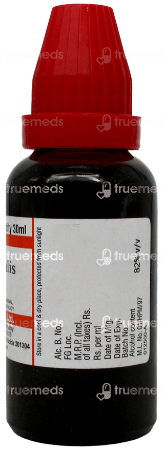 Dr Willmar Schwabe Thuja Occidentalis Q Mother Tincture 30Ml
